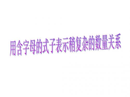 13.2用含有字母的式子表示数量关系