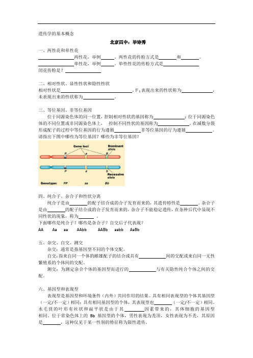 北京市第四中学高考生物总复习例题讲解：遗传学的基本概念 