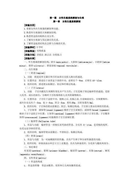 女性生殖系统解剖.讲义【母婴护理】【妇产科护理】@阿克苏