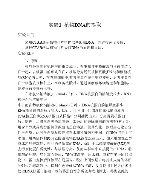 植物DNA提取
