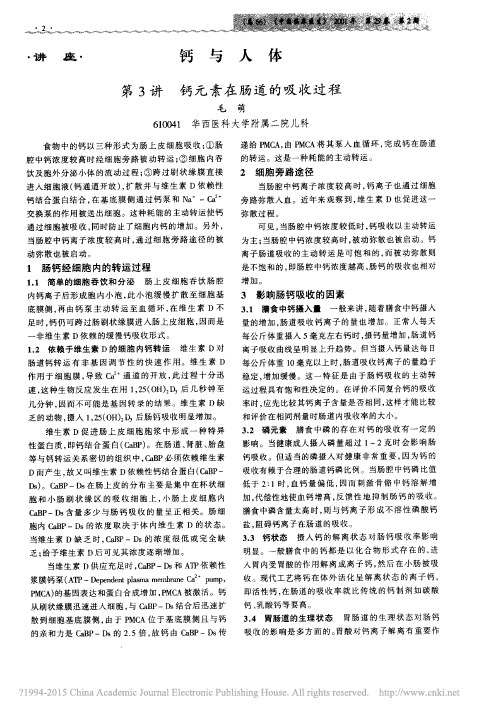 钙与人体_第3讲钙元素在肠道的吸收过程