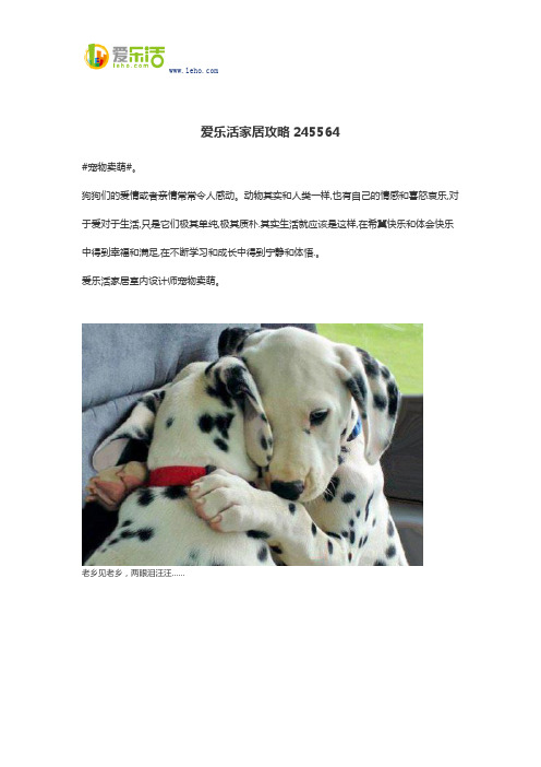 爱乐活家居攻略245564