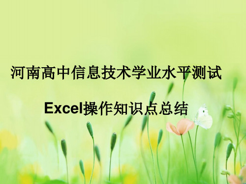 河南高中信息技术学业水平测试Excel总结