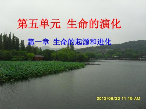 2018济南版生物八年级下册5.1.1《生命的起源》ppt课件3