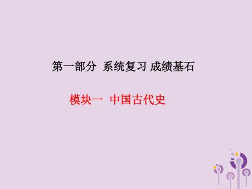 (潍坊专版)2018中考历史总复习第一部分模块一中国古代史主题2统一国家的建立及政权分立与民族融合课件