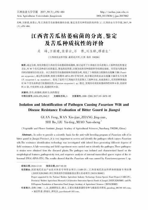 江西省苦瓜枯萎病菌的分离、鉴定及苦瓜种质抗性的评价