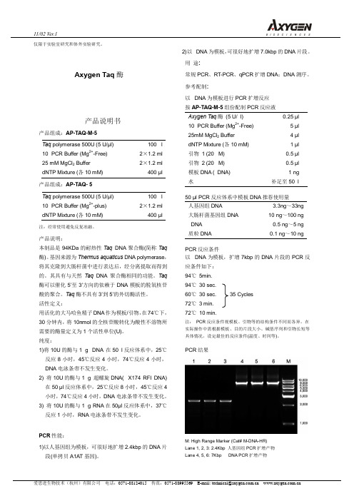 Axygen Taq 酶 产品说明书