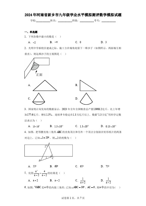 2024年河南省新乡市九年级学业水平模拟测评数学模拟试题