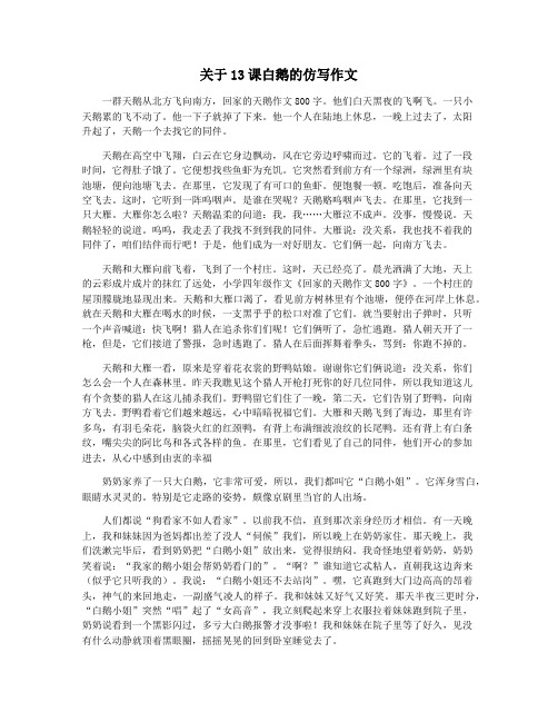 关于13课白鹅的仿写作文
