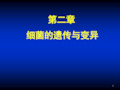 细菌的遗传与变异ppt课件