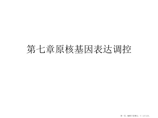 原核基因表达调控 (2)课件