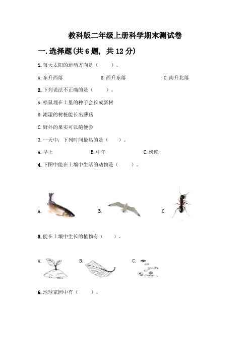 教科版二年级上册科学期末测试卷带完整答案【精品】