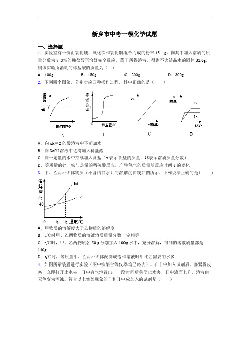 新乡市中考一模化学试题