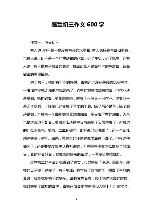 感受初三作文600字