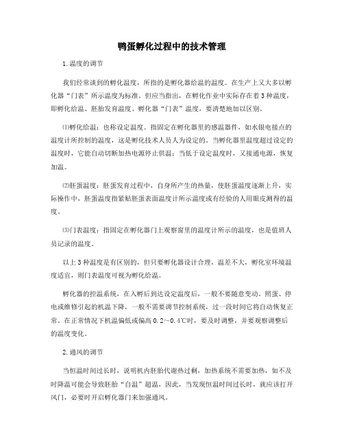 鸭蛋孵化过程中的技术管理