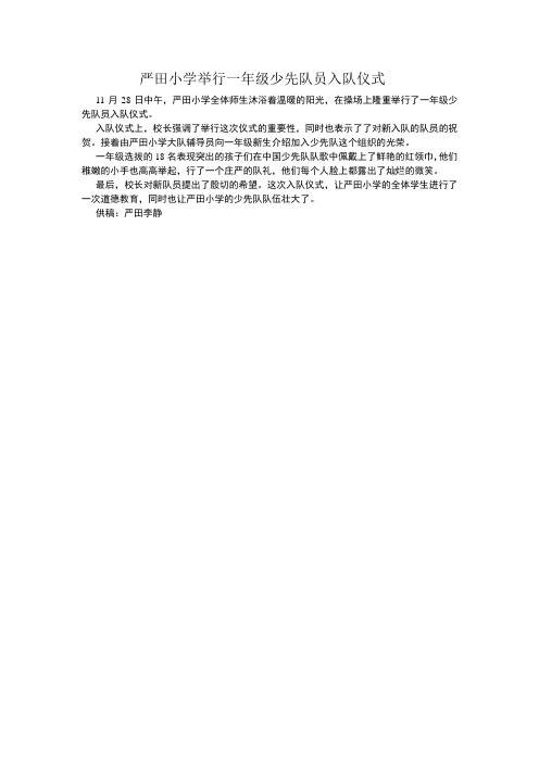 严田小学举行一年级少先队员入队仪式