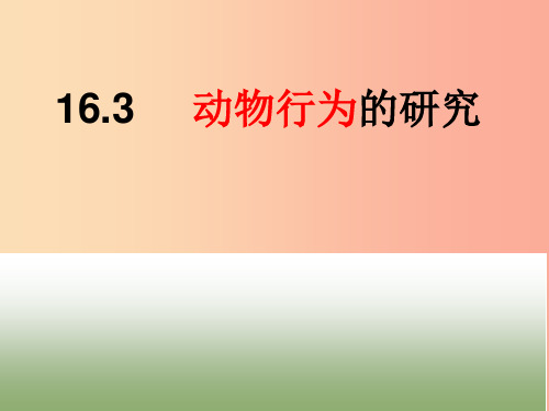八年级生物上册 16.3《动物行为的研究》课件2 (新版)北师大版