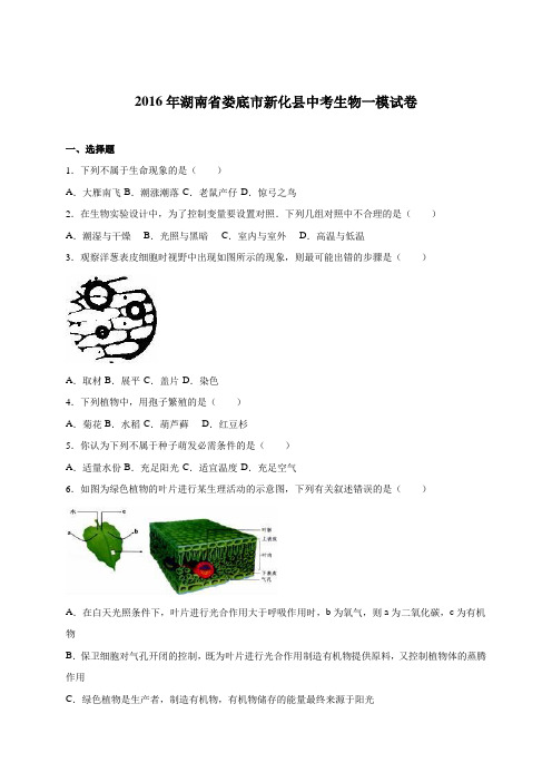 湖南省娄底市新化县2016届中考生物一模试卷(解析版)