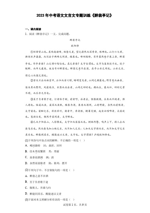 2023年中考语文文言文专题训练《醉翁亭记》