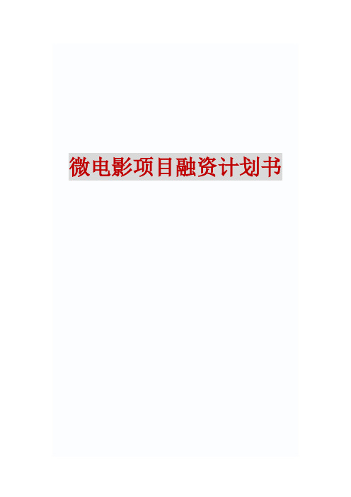 微电影项目融资计划书