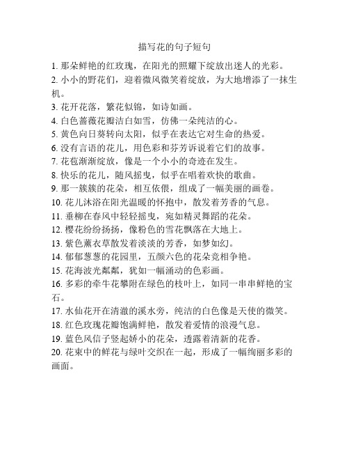 描写花的句子短句