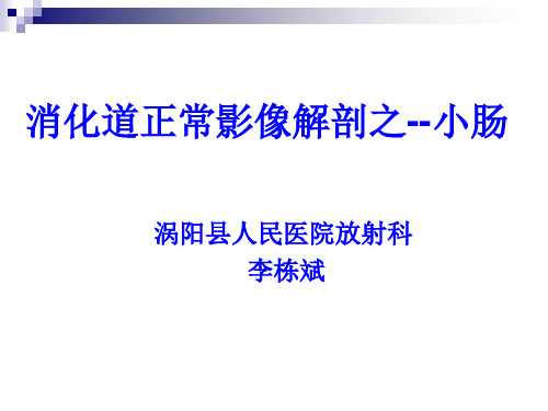 消化道正常影像解剖之--小肠
