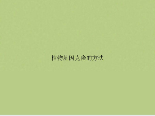 植物基因克隆的方法