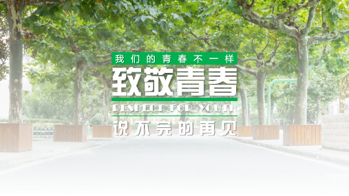 致敬青春动态相册回忆录PPT模板