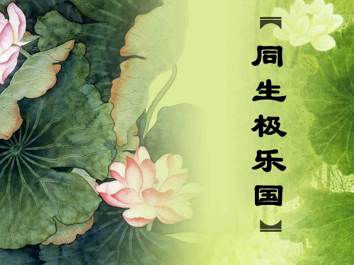 同生极乐国-第一课 v4