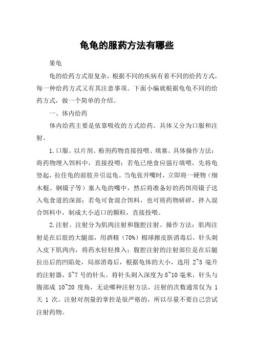 龟龟的服药方法有哪些