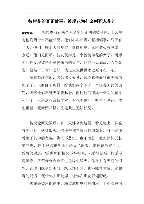 彼岸花的真正故事：彼岸花为什么叫死人花？