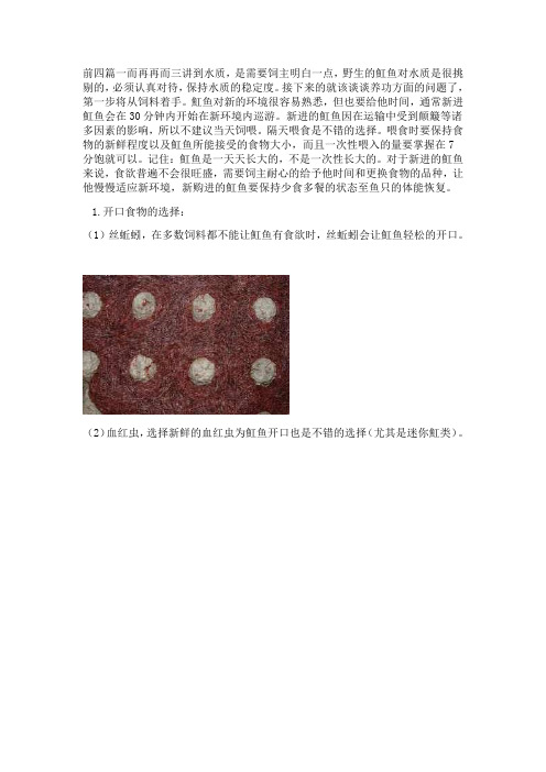 魟鱼饲养心得基础篇-正确对待魟鱼的饮食习惯和食物的营养结构-魟鱼手札