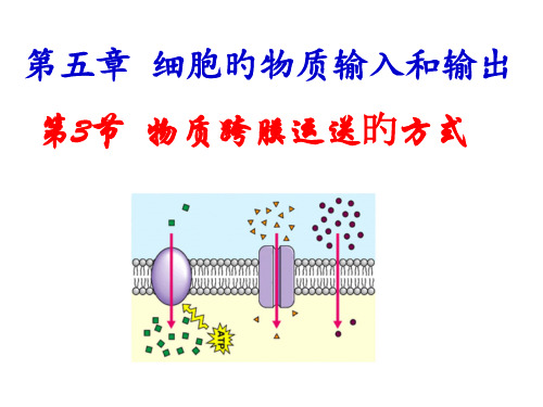 生物必修一物质跨膜运输的方式(优质课)公开课获奖课件百校联赛一等奖课件