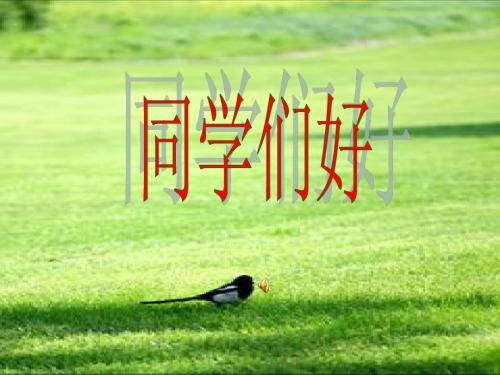 国共十年对峙PPT教学课件1 人教课标版