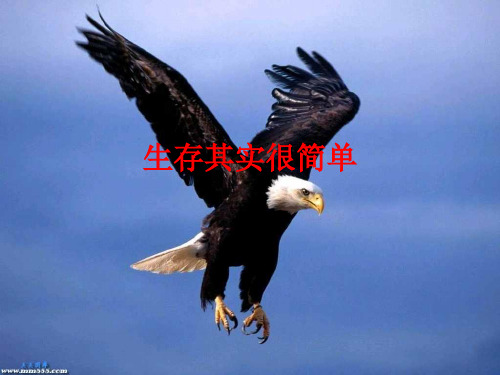 学会生存课件