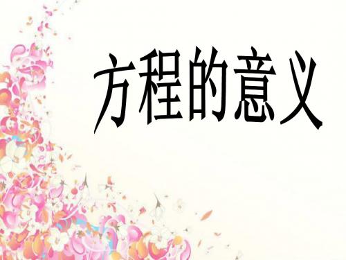 《方程的意义》课件