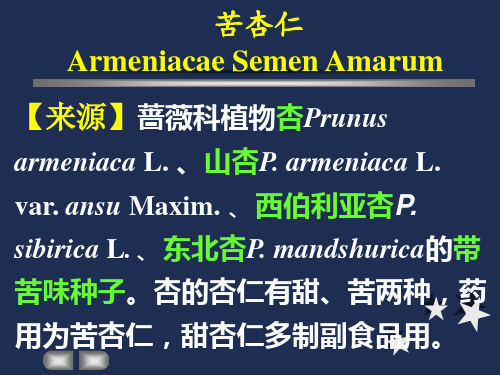 蔷薇科豆科 ppt课件