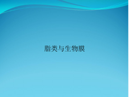 脂类与生物膜