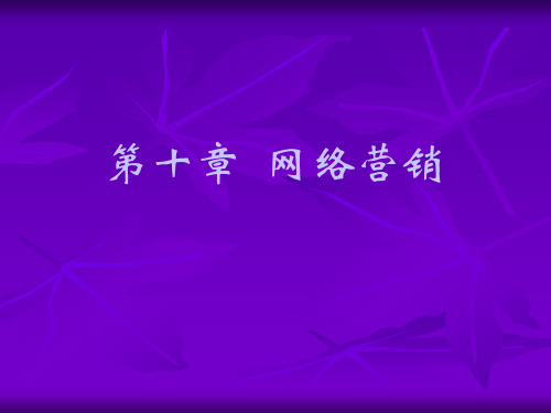 自考第十章网络营销