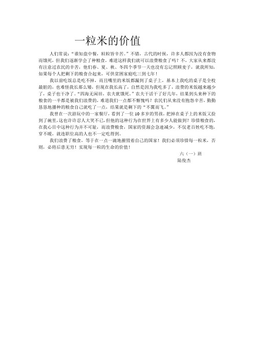 一粒米的价值