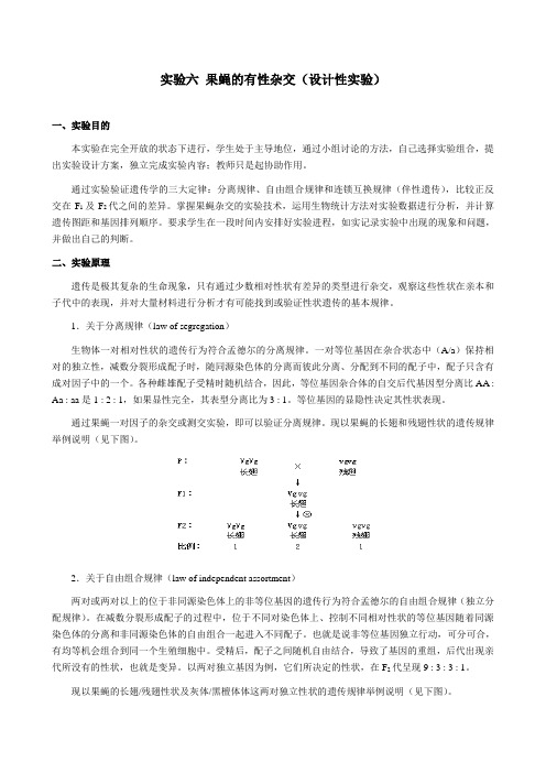 实验六-果蝇的有性杂交(设计性实验)