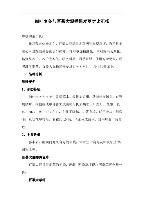 细叶麦冬与百慕大混播黑麦草对比汇报