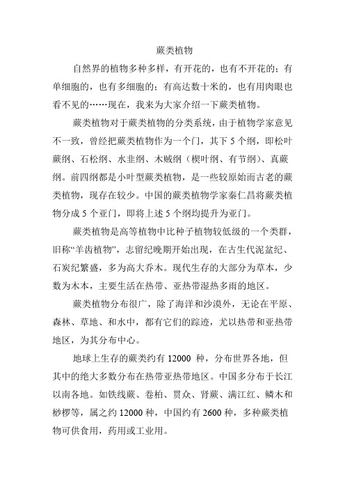 蕨类植物