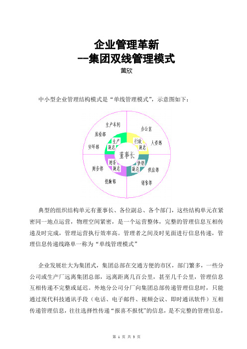 企业管理革新 集团双线管理模式