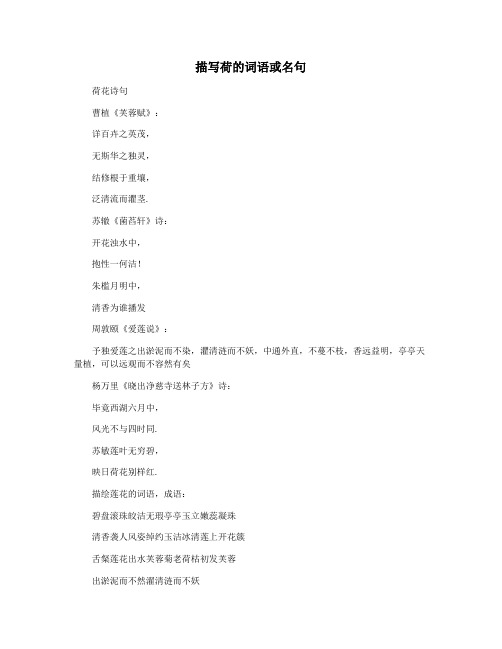 描写荷的词语或名句