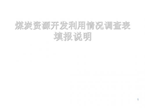 煤炭资源开发利用情况调查表填报说明 62页PPT文档