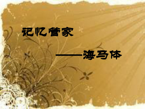 海马区