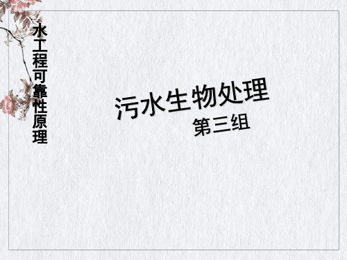 污水生物处理概述(PPT37页)