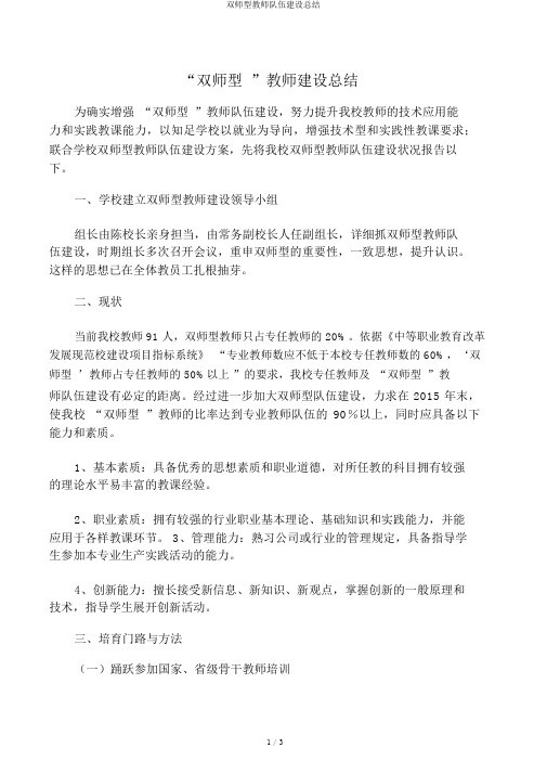 双师型教师队伍建设总结