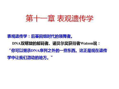 遗传学-第十一章 表观遗传